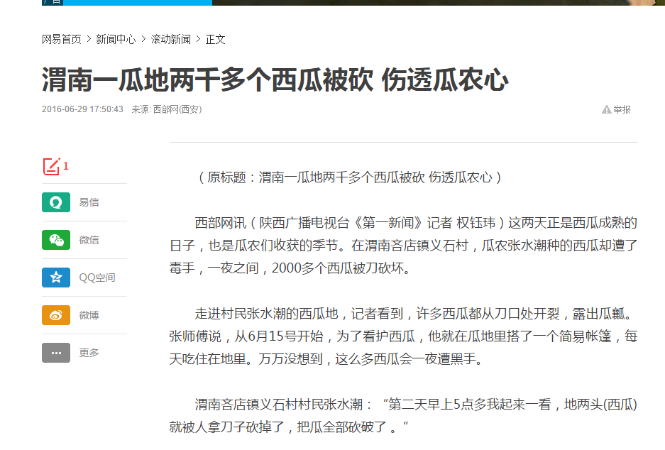 2016年渭南西瓜被砍